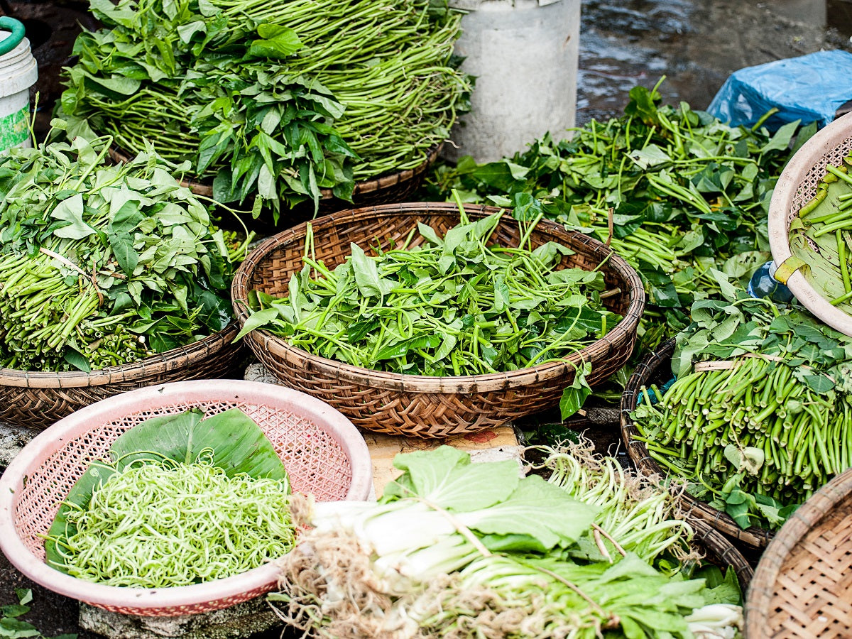 How a plant based diet can improve cardiovascular health hugely How a plant based diet can improve cardiovascular health hugely